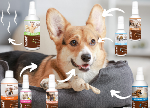 'Microbiome in a Bottle' - the Role of Surface Probiotics