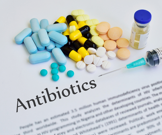 Reduce Antimicrobial Resistance with Probiotic Pet Care and Cleaning
