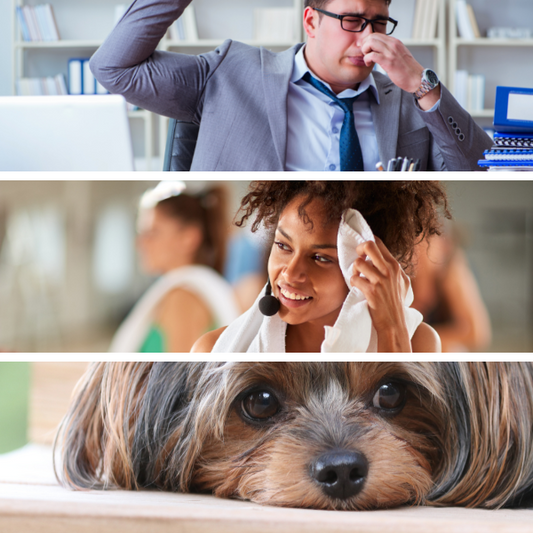 Natural Odour Remover Study - How Probiotics Eliminate Odours