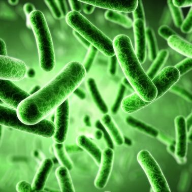 How Probiotic Cleaning Reduces Infections & Antimicrobial Resistance