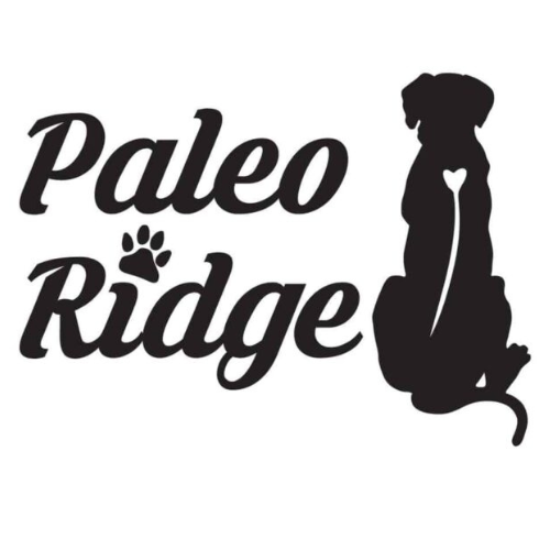 Top Five Tips for Reducing Stress In Your Dog