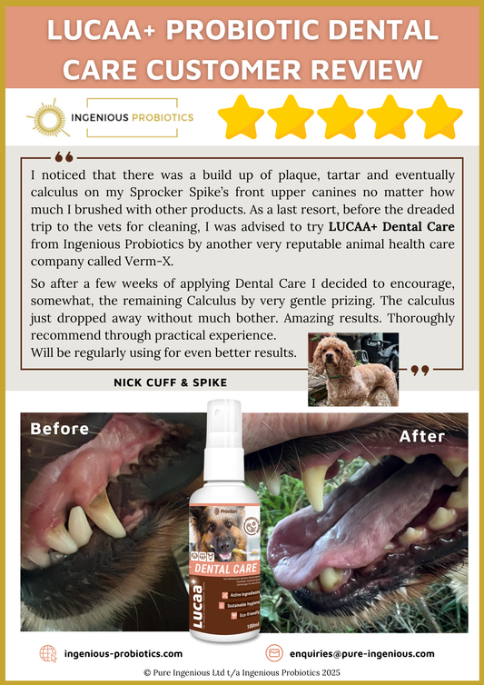 Dog Dental Spray Review – LUCAA+ Natural Tartar Care