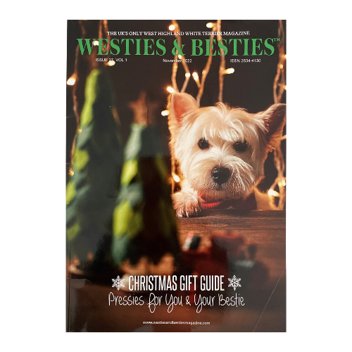 Don’t Know What to Do About Your Itchy Dog