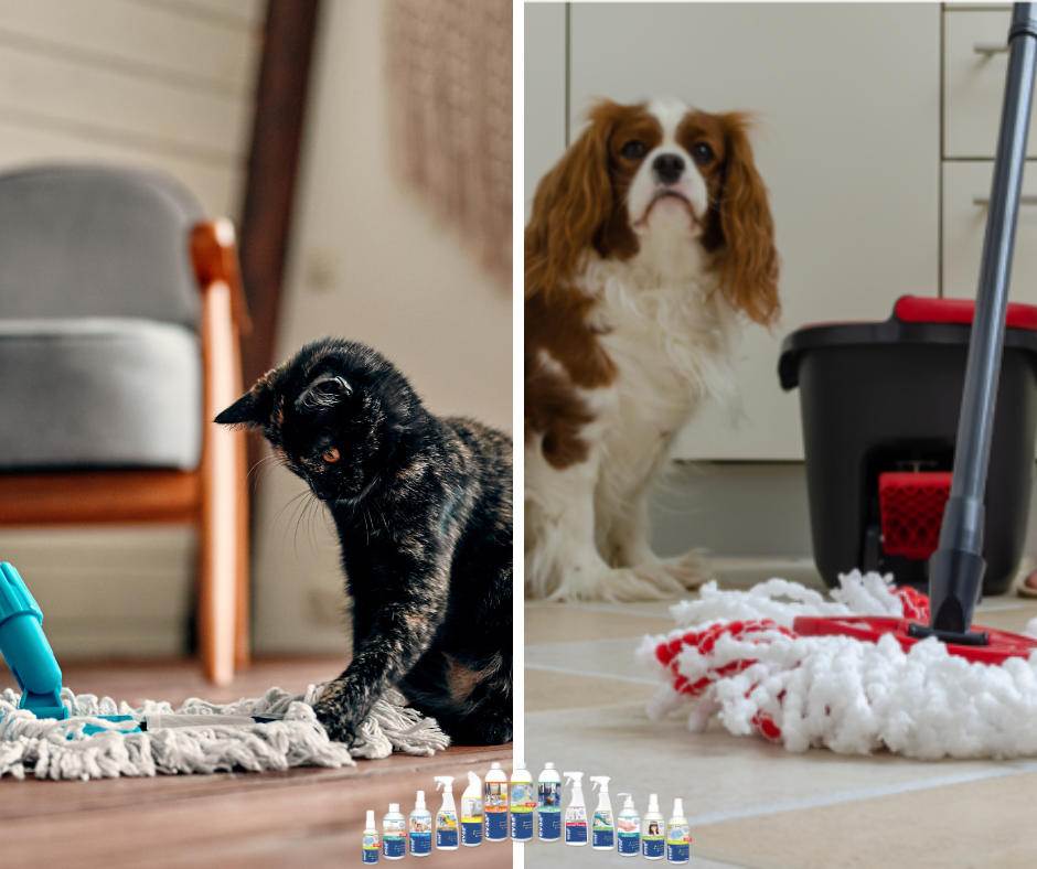 How Pet Safe Cleaning Products with Probiotics Protect Your Pets