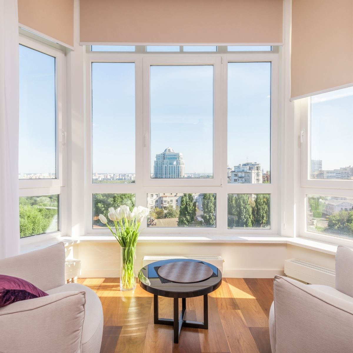 probiotic cleaning products