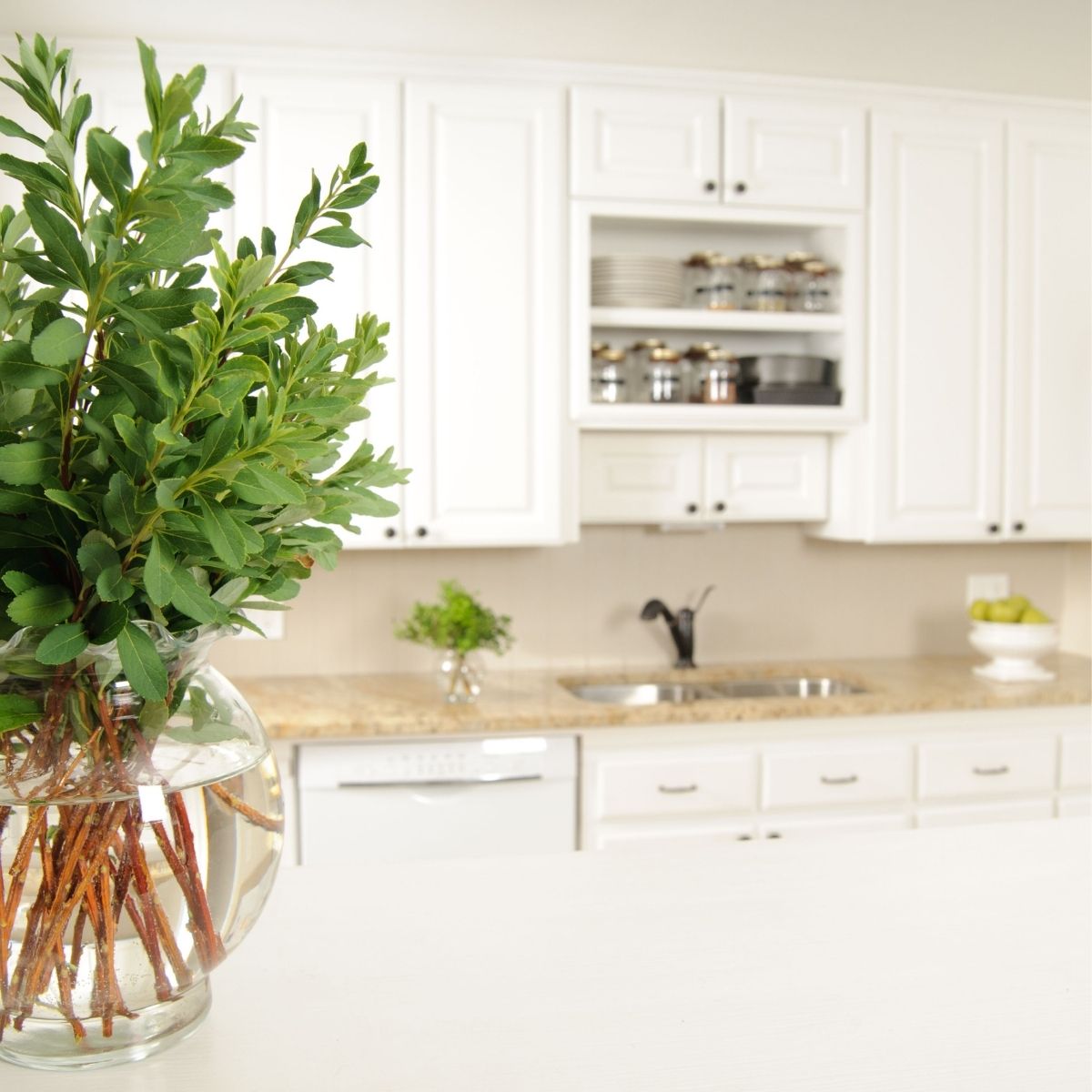 natural home cleaning products