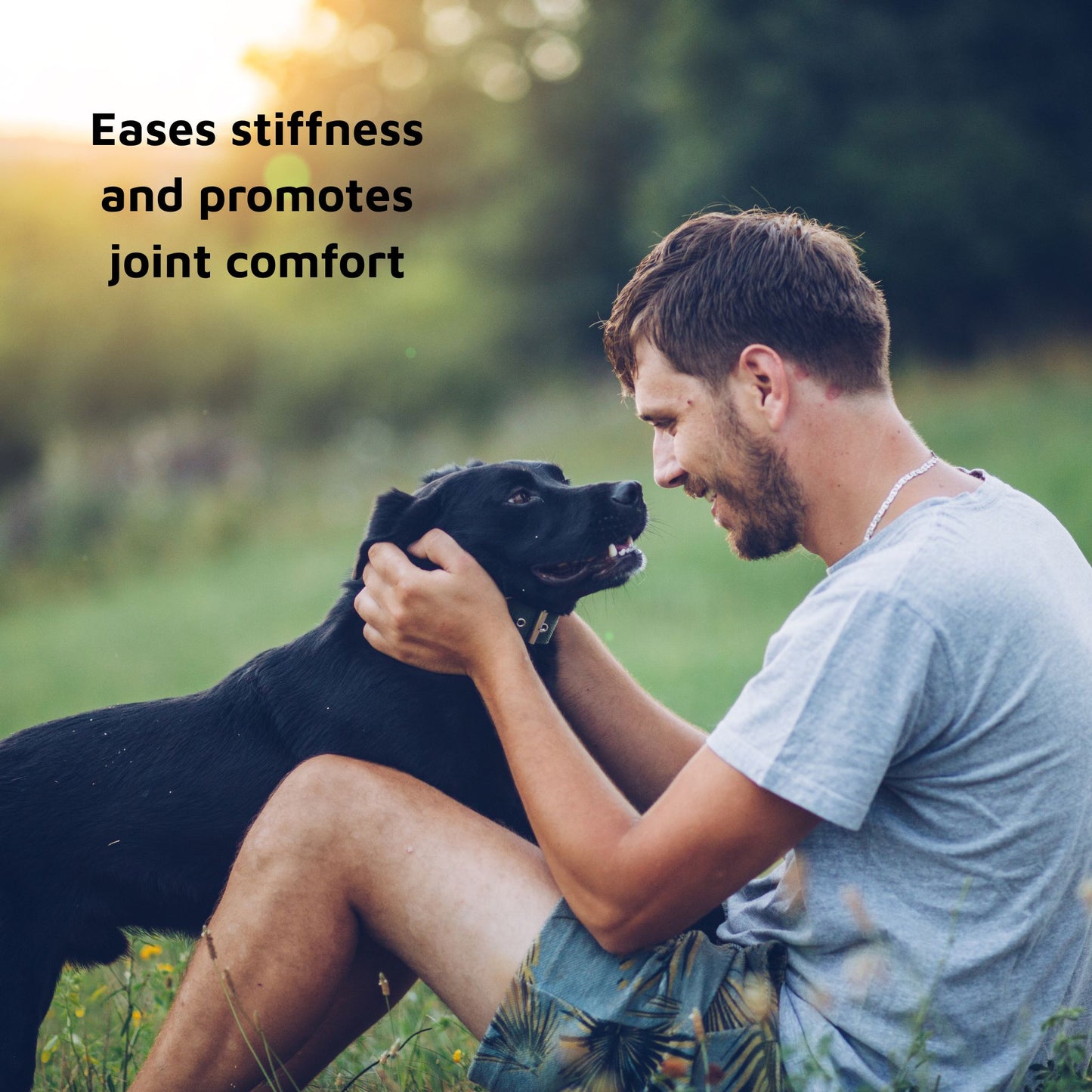 Natural Pet Mobility Support