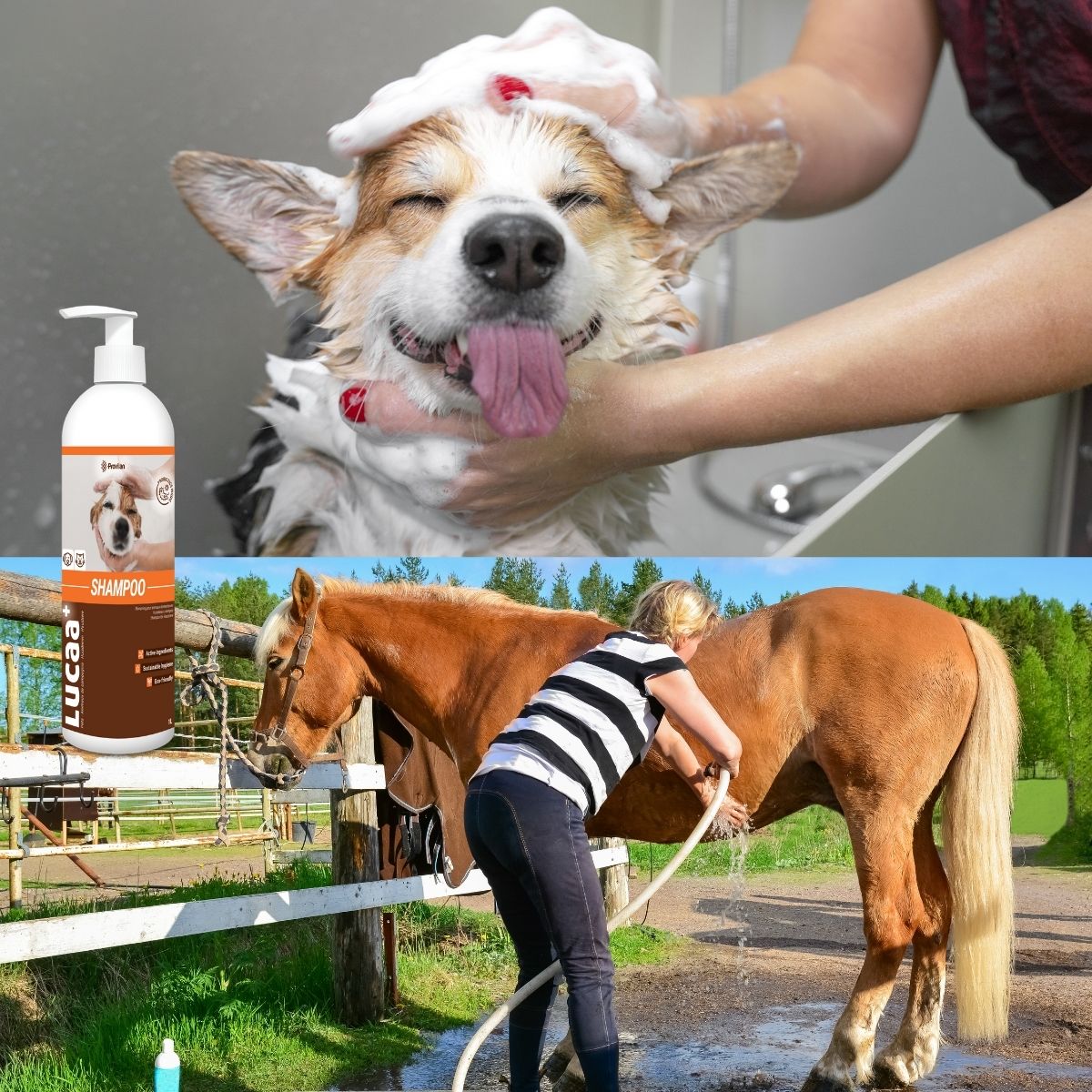 LUCAA+ probiotic cleaning products UK
