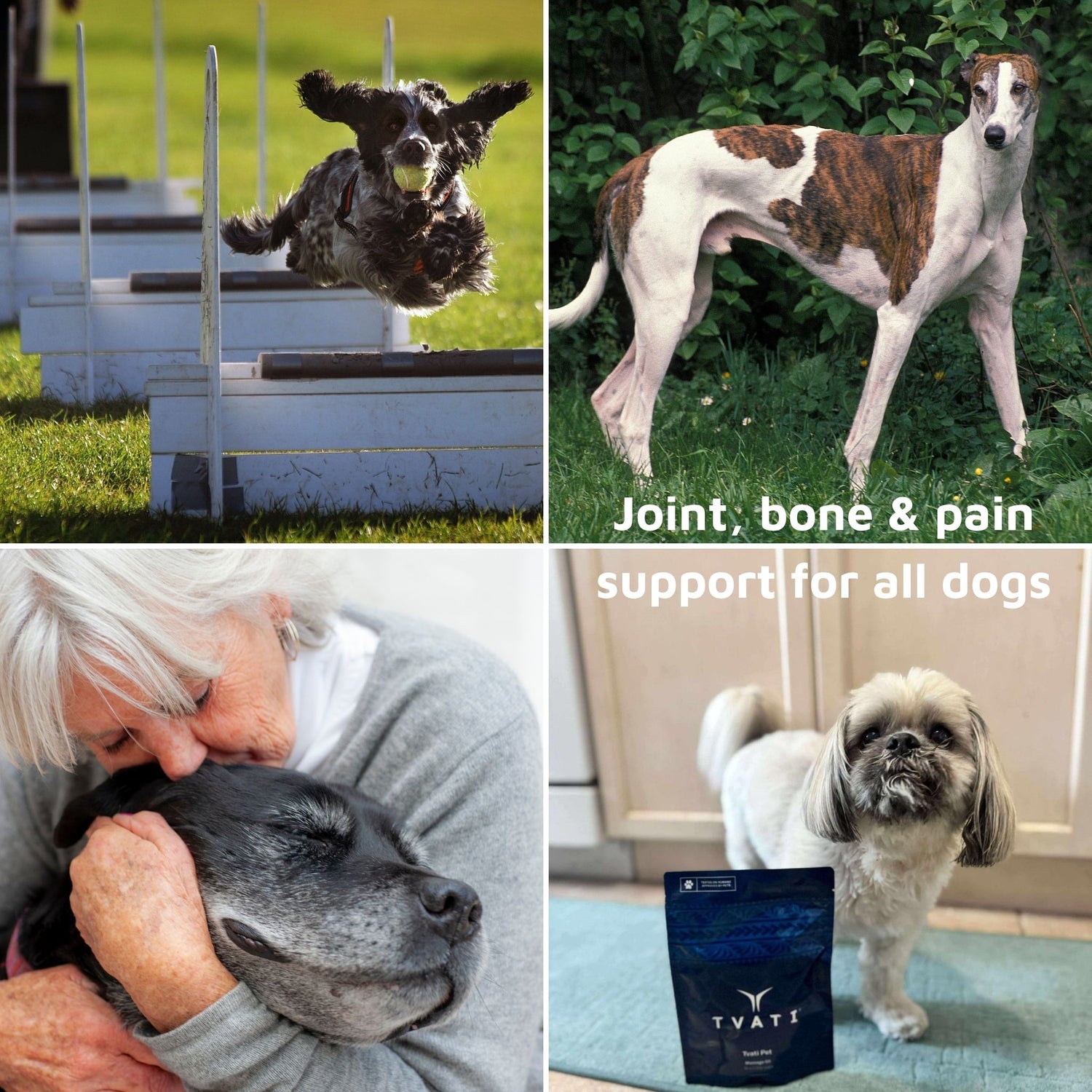 Natural_Joint_Support_for_greyhounds