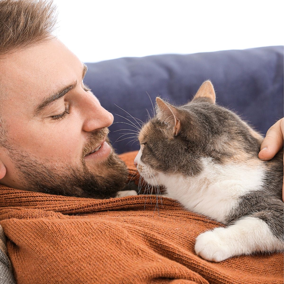 pet probiotics for cats