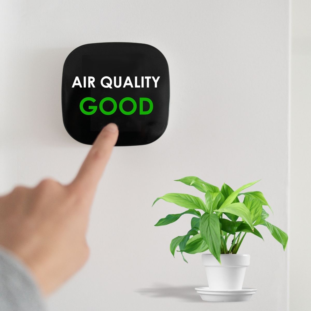 probiotics in cleaning products