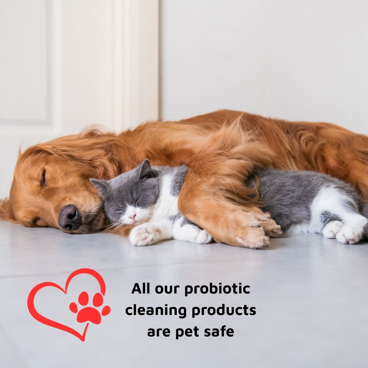 probiotics in cleaning products