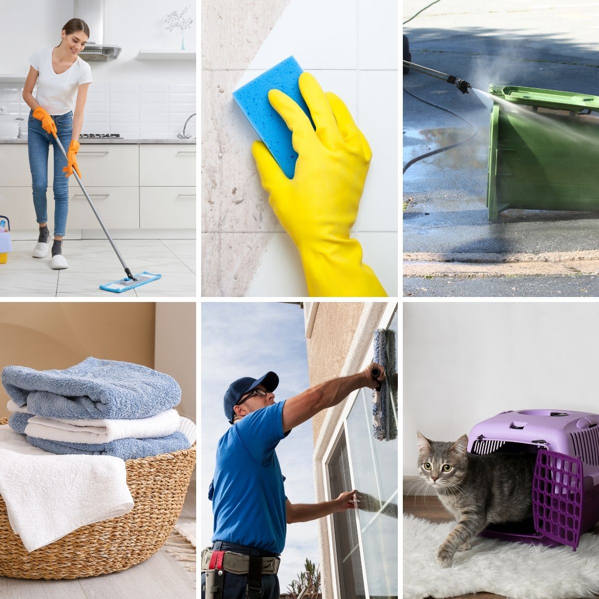 probiotics in cleaning products