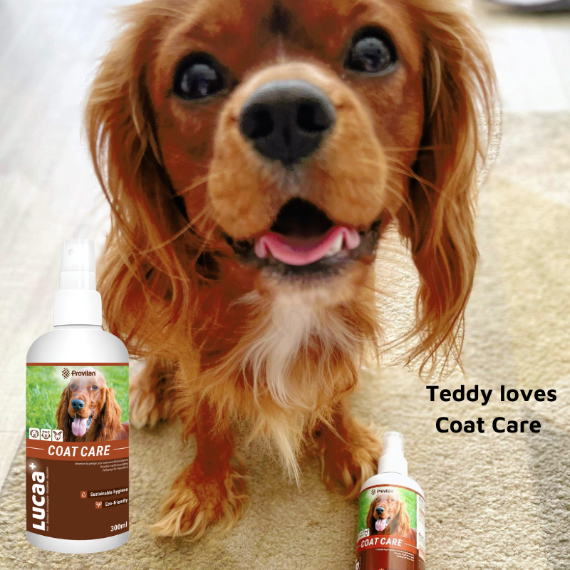 probiotic skin spray for dogs