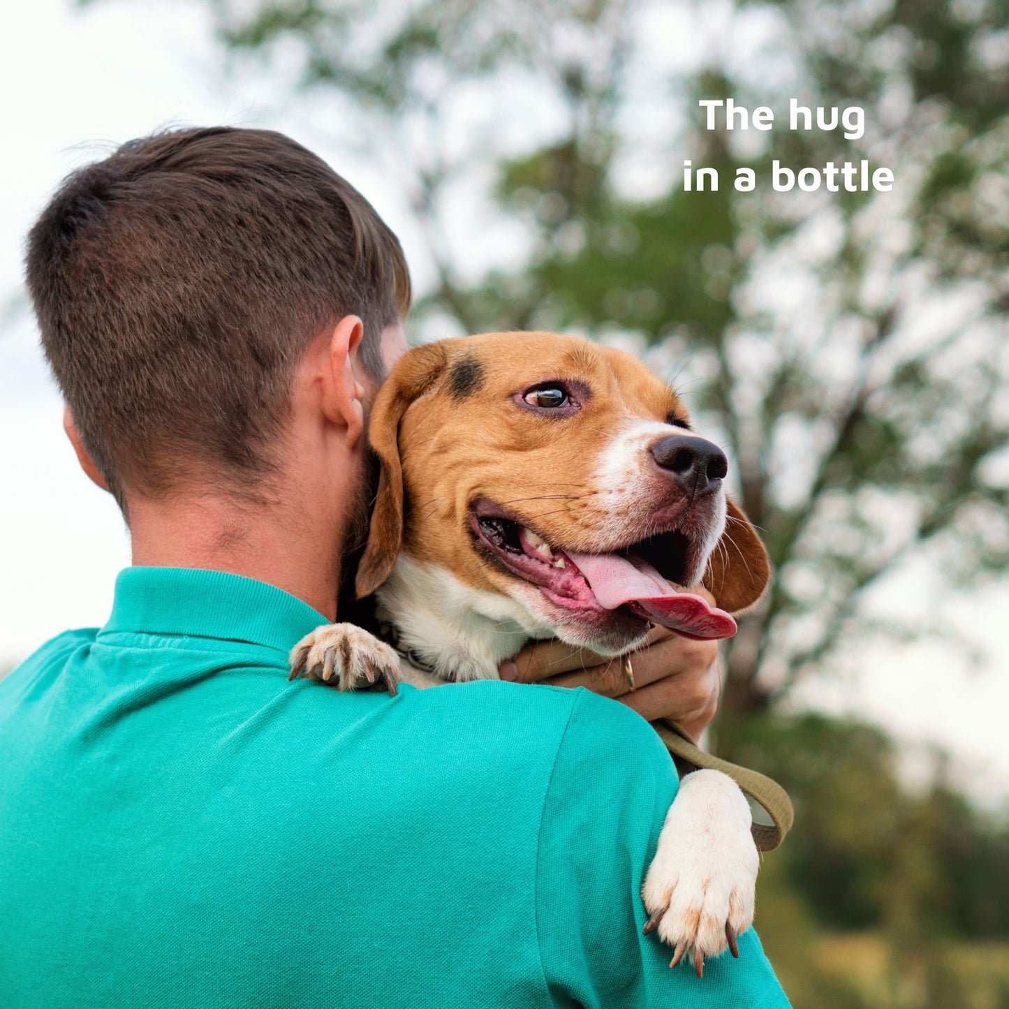 Coconut Mobility Massage Oil for Pets