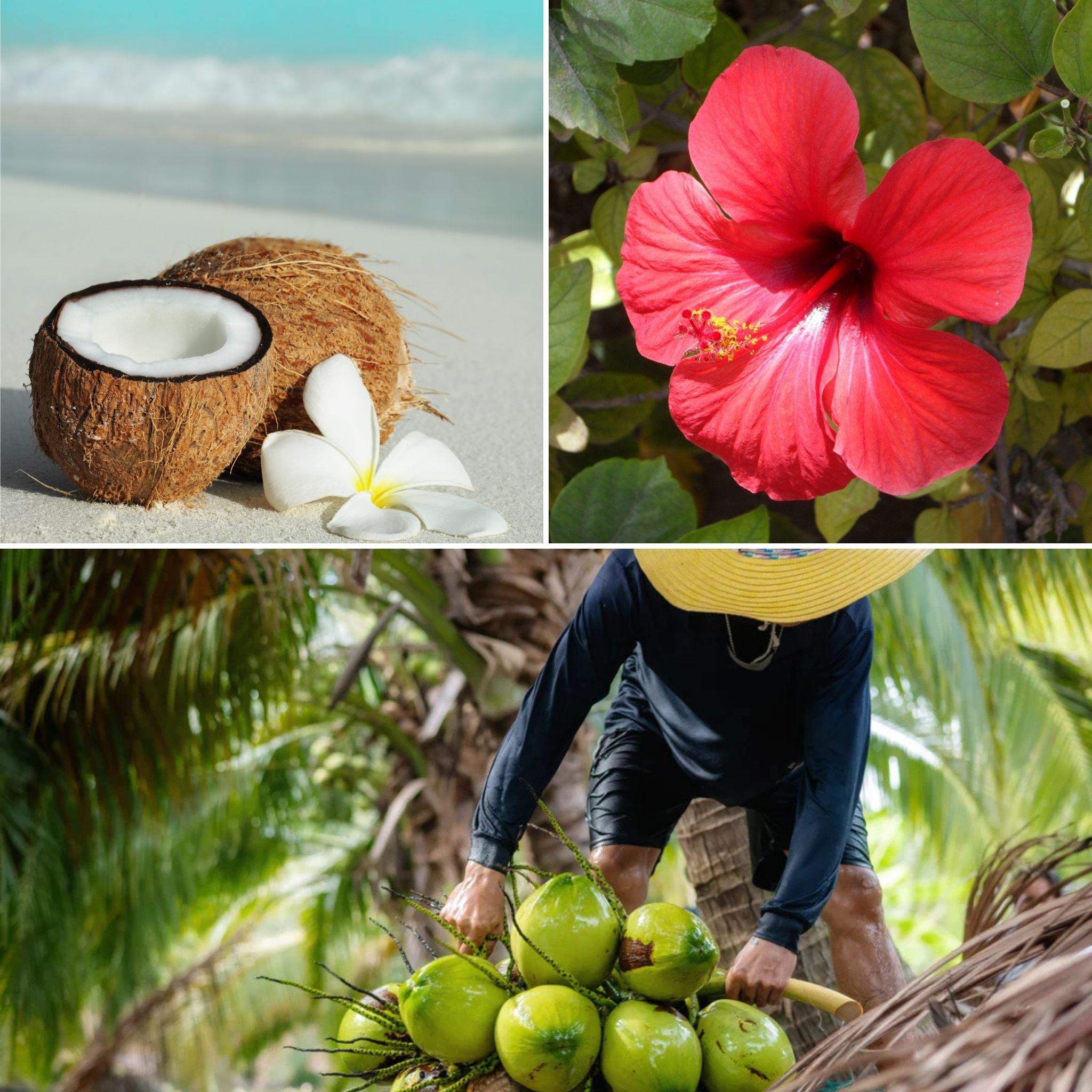 Tvati UK ingredients