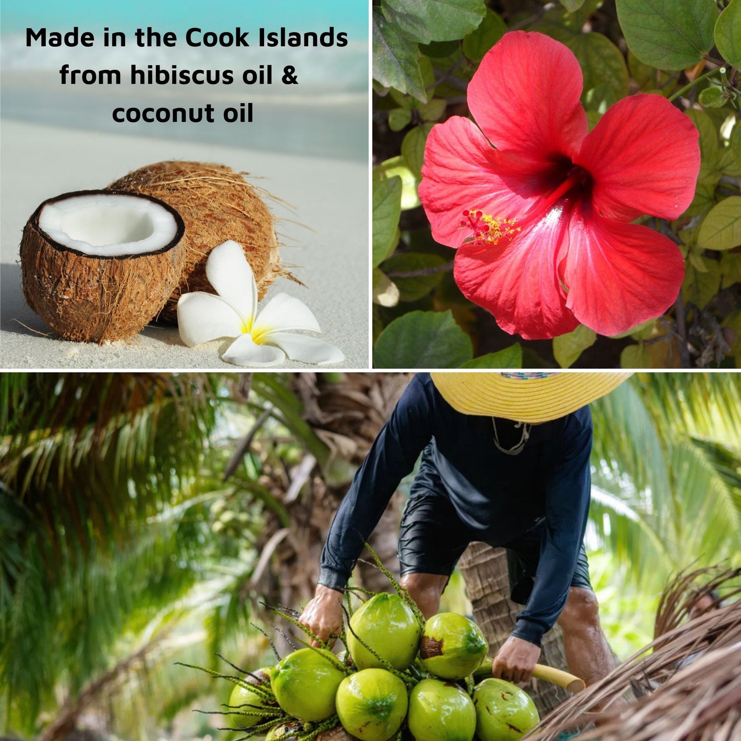 Natural Pet Mobility Support