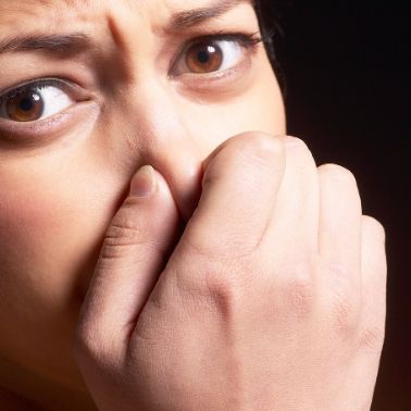 How Probiotic Odour Remover Works (Without Chemicals)