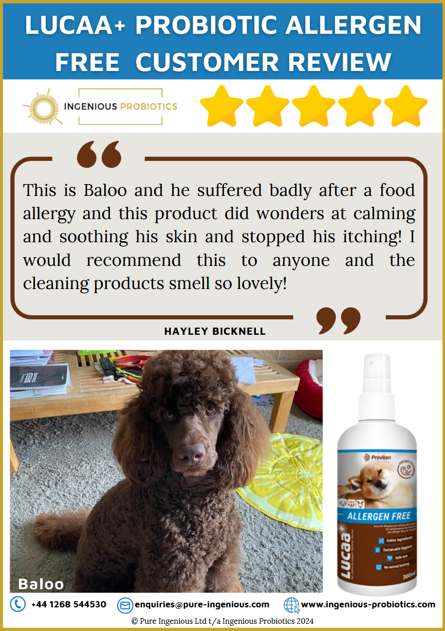 Allergen Free Review - Baloo's Itchy Skin | Ingenious Probiotics
