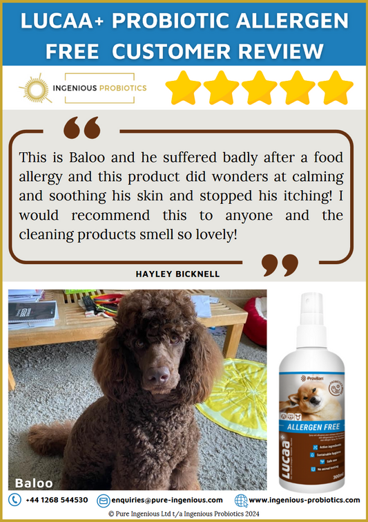 Allergen Free Review - Baloo's Itchy Skin | Ingenious Probiotics