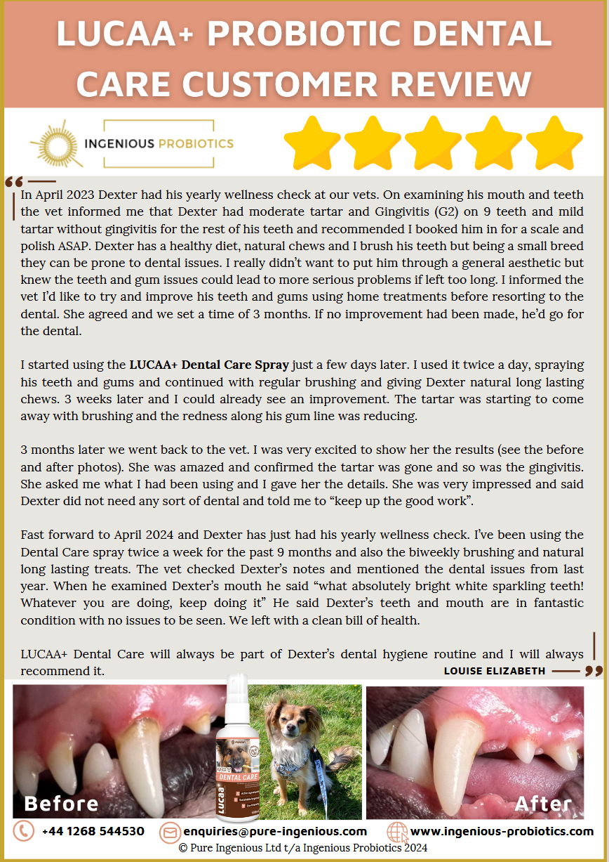 Dental Care Review - Dexter's Tartar and Gingivitis | Ingenious Probiotics