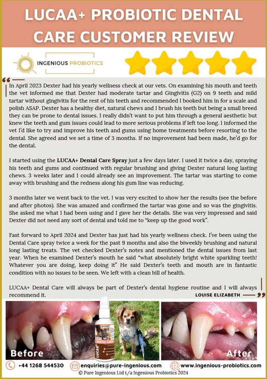 Dental Care Review - Dexter's Tartar and Gingivitis | Ingenious Probiotics