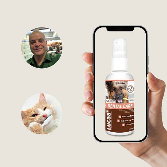 Discover LUCAA+ Pet Probiotic Dental Care Spray | Ingenious Probiotics