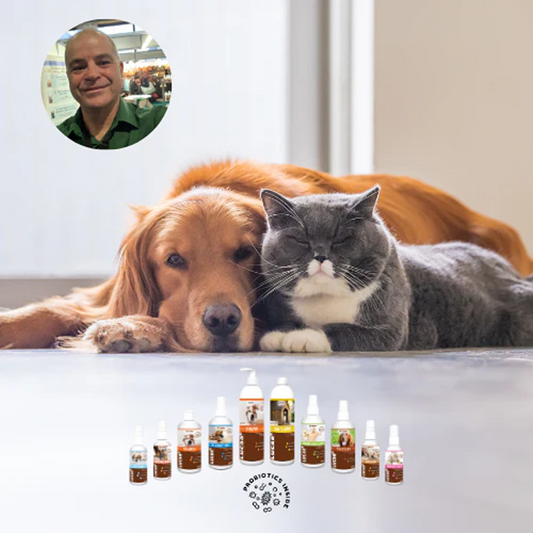 How to Help Manage Pet Skin Allergies with Probiotics | Ingenious Probiotics
