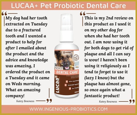 LUCAA+ Dental Care Spray - Plaque Removal | Ingenious Probiotics