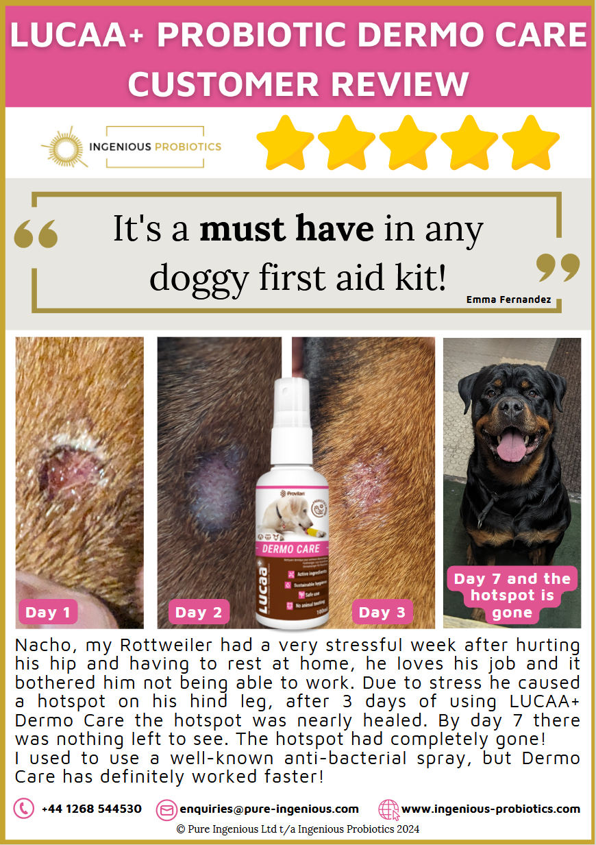 Dermo Care Review - Nacho's Hotspot | Ingenious Probiotics