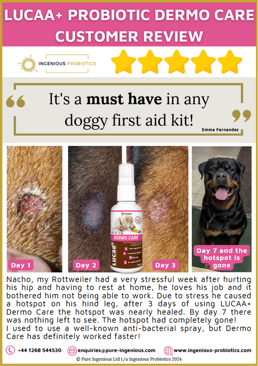 Dermo Care Review - Nacho's Hotspot | Ingenious Probiotics