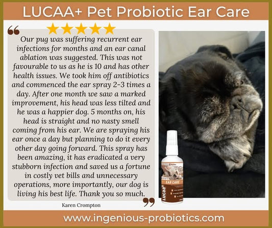 LUCAA+ Ear Care Spray - Helping to Prevent Surgery | Ingenious Probiotics