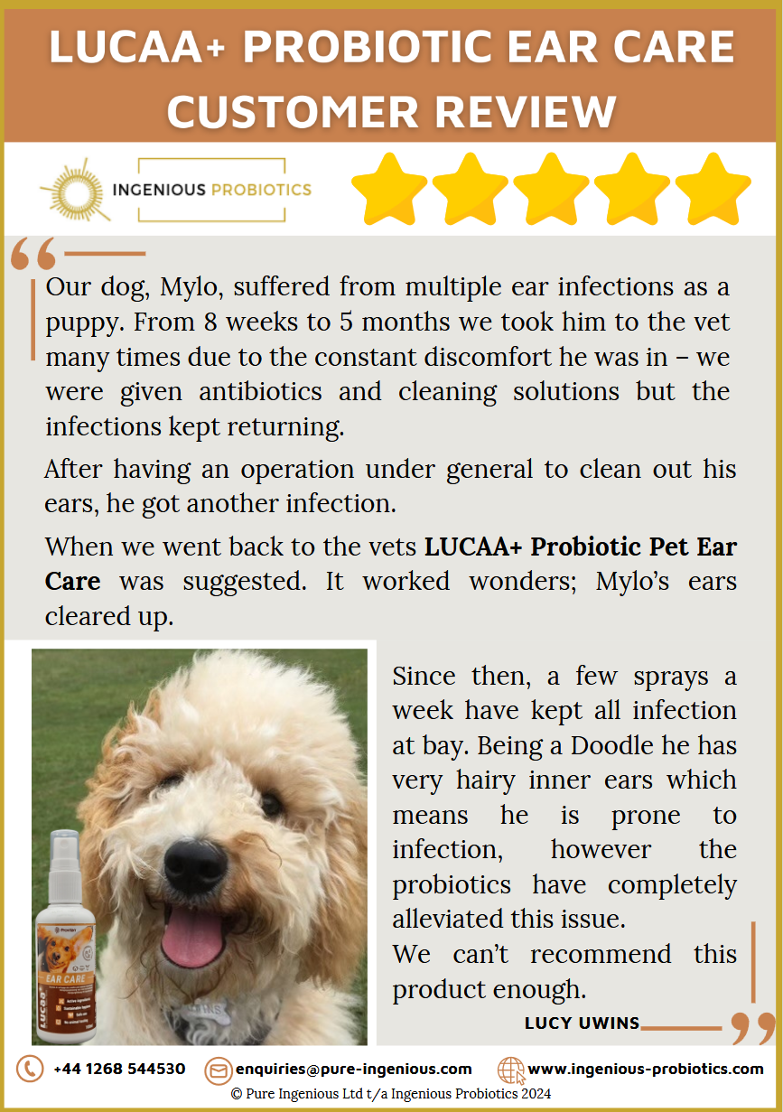 Ear Care Review - Mylo's Multiple Ear Infections | Ingenious Probiotics