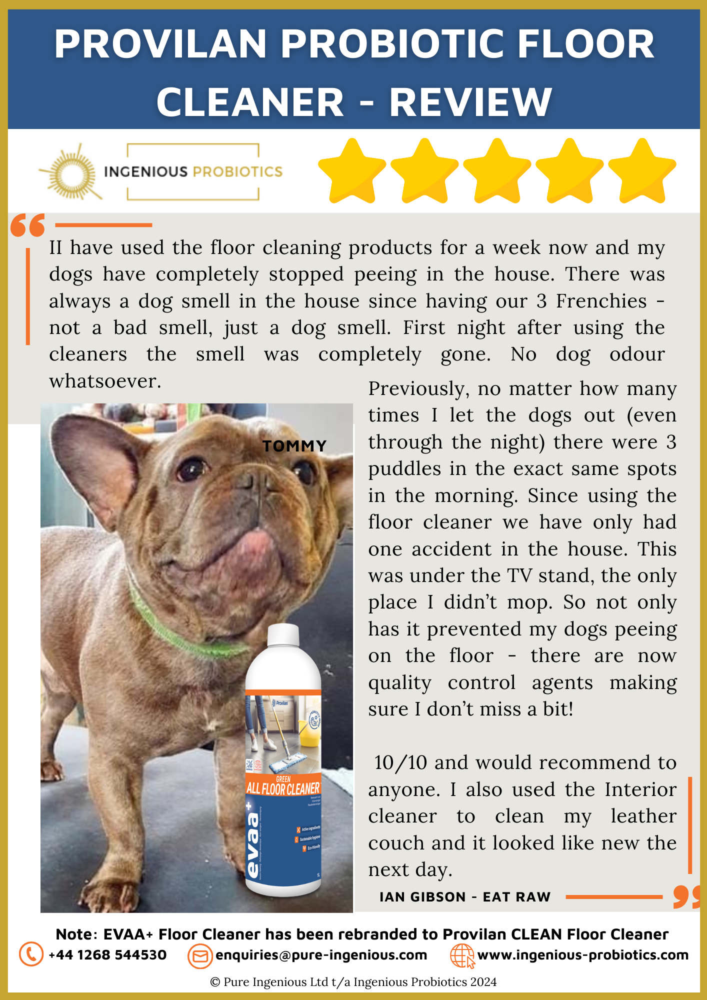 Probiotic Floor Cleaner – Stopped Frenchies Peeing Indoors | Ingenious Probiotics