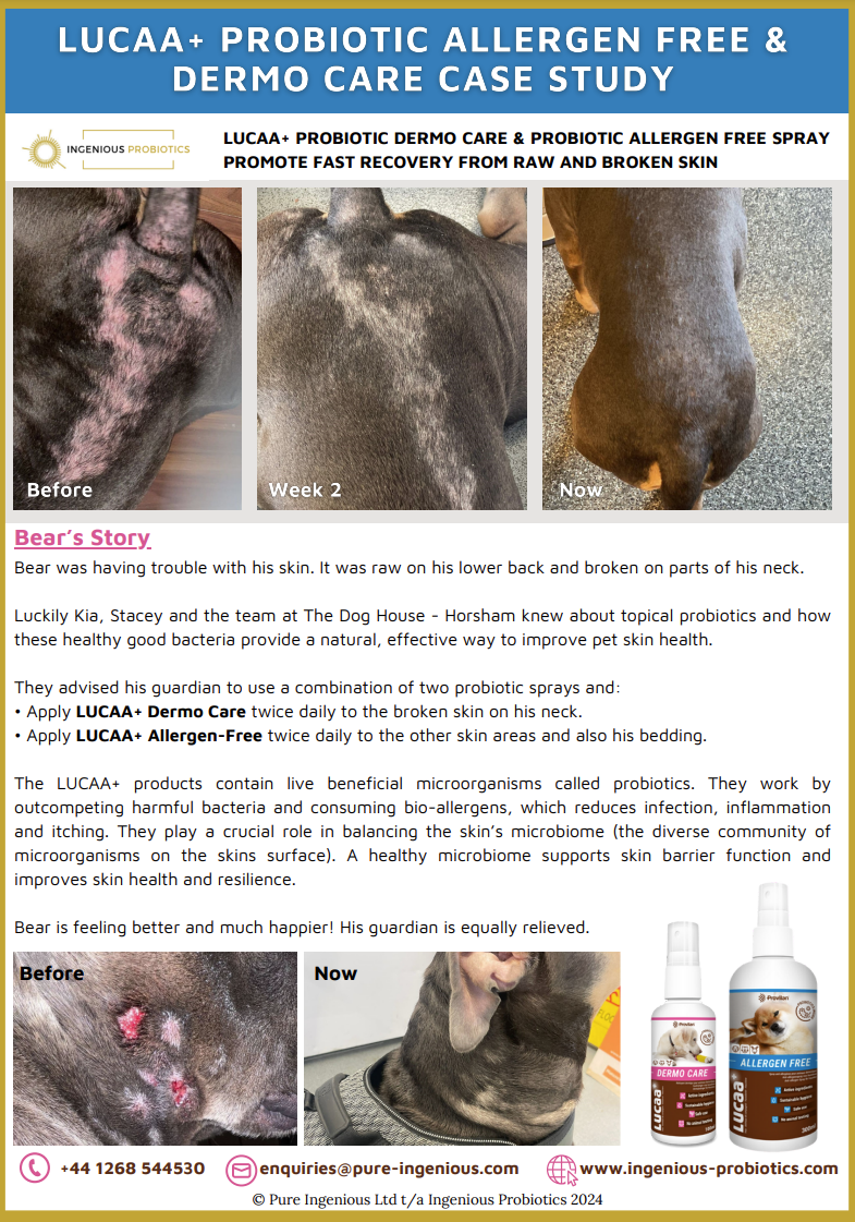 Probiotic Pet Sprays Restore Bear’s Uncomfortable Raw, Broken Skin | Ingenious Probiotics