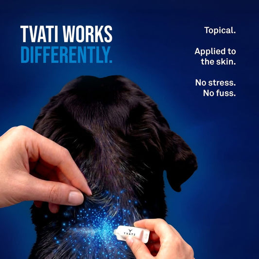 Understanding Tvati Pet: Natural Joint Support for Dogs | Ingenious Probiotics