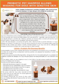 LUCAA+ Probiotic Shampoo Information Flyer | Ingenious Probiotics