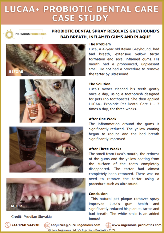 Probiotic Pet Dental Spray Removes Plaque and Tartar in 3 Weeks | Ingenious Probiotics