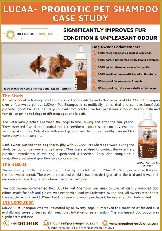 LUCAA+ Probiotic Pet Shampoo Improves Fur Condition and Odour | Ingenious Probiotics