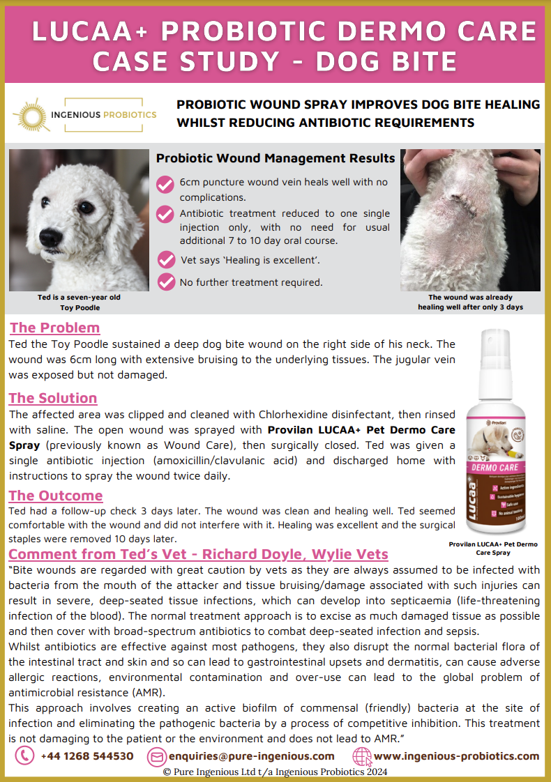 Probiotic Spray Reduces Antibiotic Needs for Ted's Dog Bite | Ingenious Probiotics