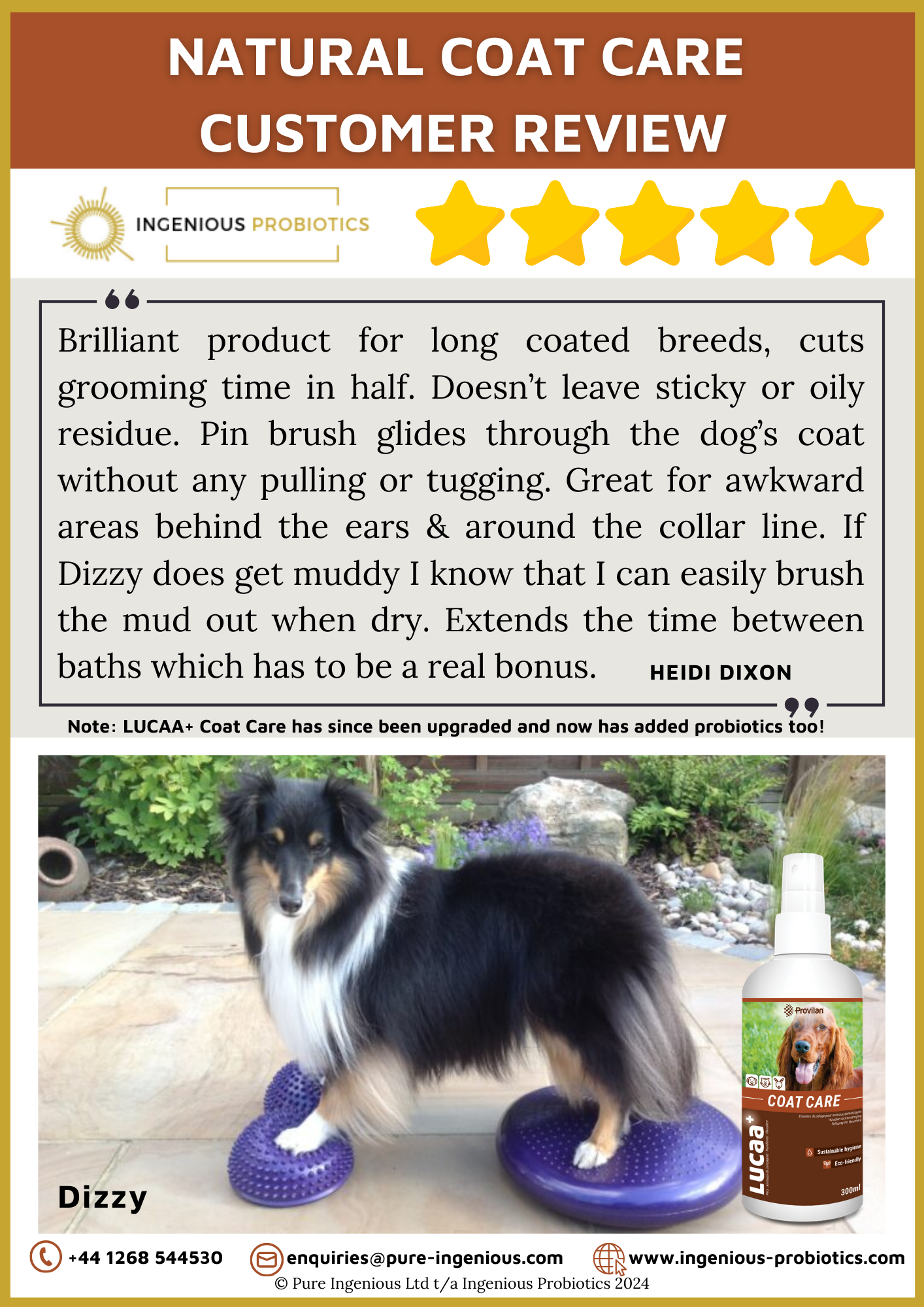 Natural Coat Care Review - Dizzy's Long Coat | Ingenious Probiotics