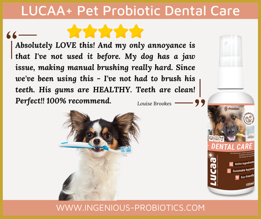 Dental Care Review - Absolutely Love This! | Ingenious Probiotics