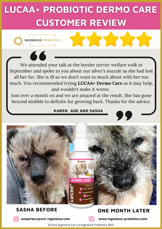 Patchy Muzzle Fur Regrowth