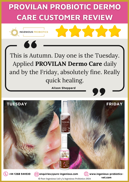 Dermo Care Review - Autumn's Cut Paw | Ingenious Probiotics