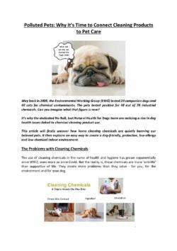 Polluted Pets – Why It’s Time to Connect Cleaning with Pet Care