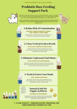 Probiotic Raw Feeding Support Pack | Ingenious Probiotics