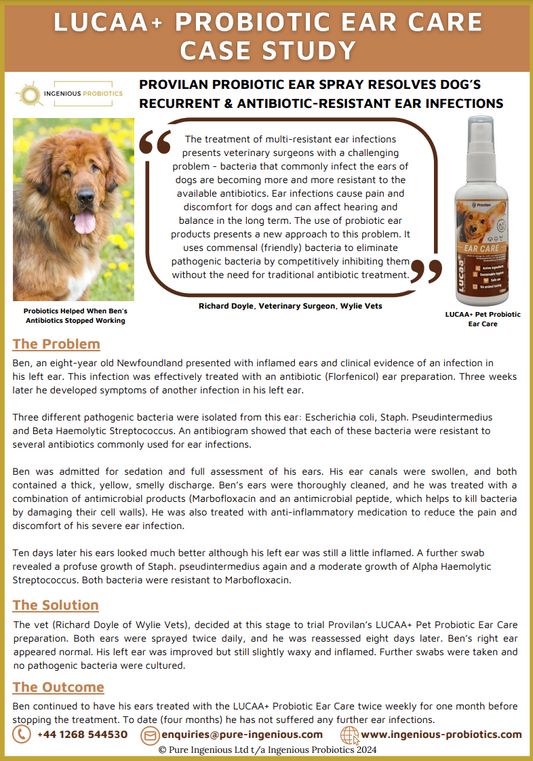 Probiotic Ear Spray Resolves Ben's Antibiotic-Resistant Ear Infections | Ingenious Probiotics