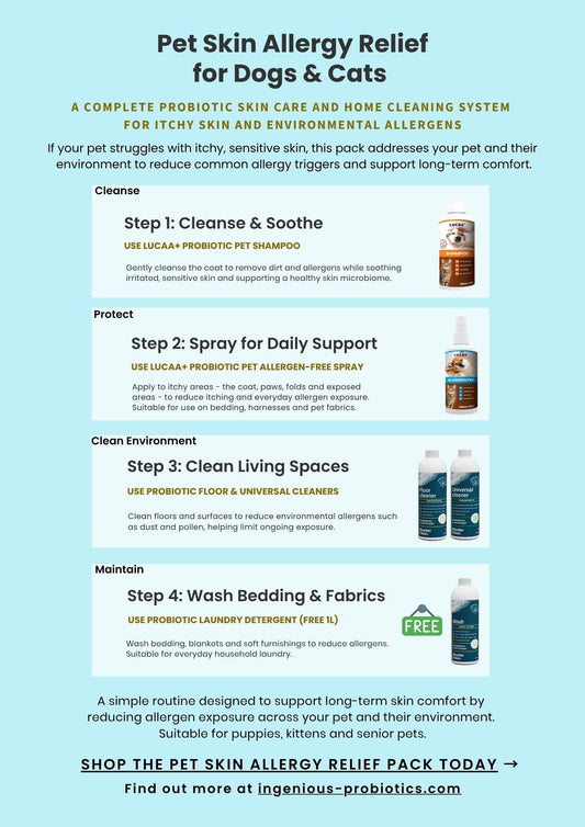 Pet Skin Allergy Relief Guide for Itchy Dogs & Cats | Ingenious Probiotics