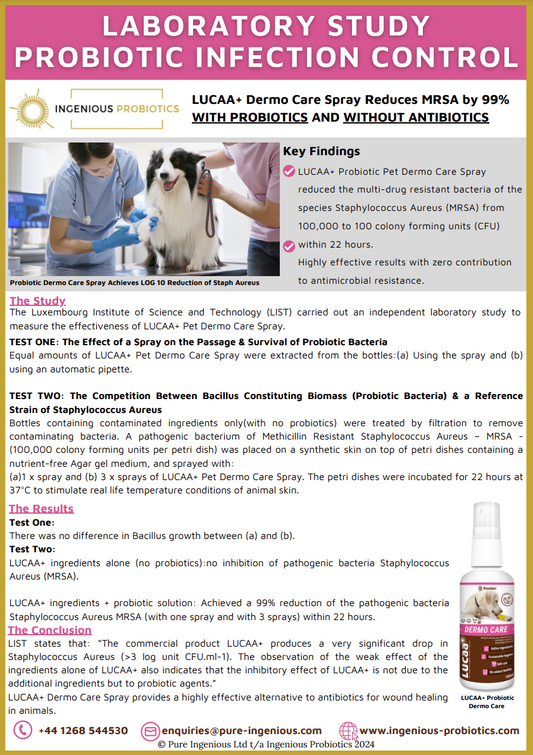 LUCAA+ Probiotic Pet Dermo Care Reduces MRSA by 99% | Ingenious Probiotics