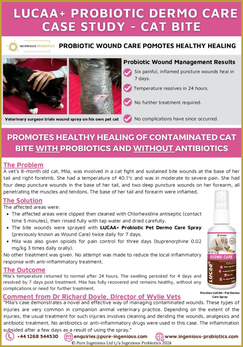 Vet Trials Probiotic Wound Care Spray for Faster Cat Bite Healing | Ingenious Probiotics